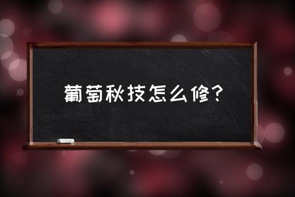 一年葡萄秋天修剪的正确方法 葡萄秋技怎么修？