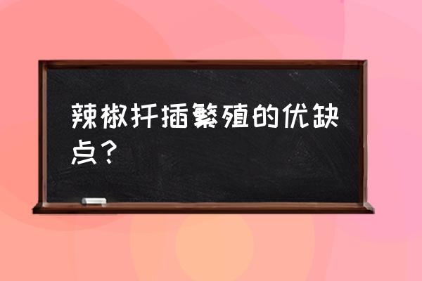 辣椒移栽后用什么生根最好 辣椒扦插繁殖的优缺点？