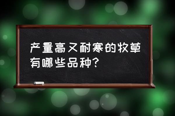 紫草种植的亩产和效益 产量高又耐寒的牧草有哪些品种？