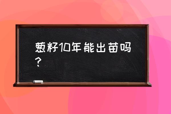 现在干籽种葱几天能出苗 葱籽10年能出苗吗？