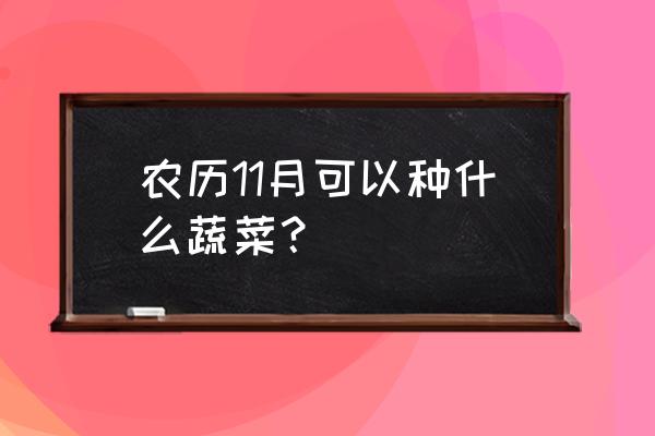 11月份有什么当季蔬菜 农历11月可以种什么蔬菜？