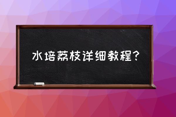 如何使荔枝大核变成小核 水培荔枝详细教程？