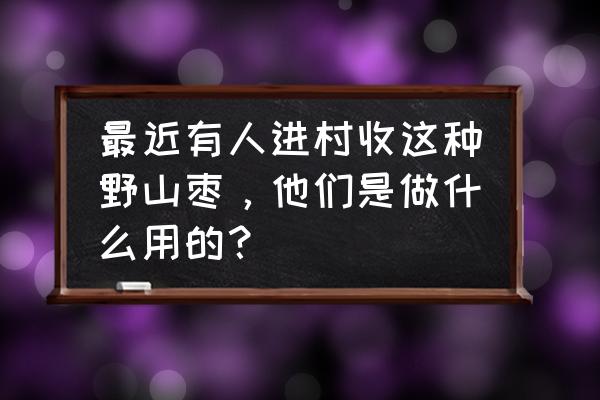 干酸枣收购多少钱一斤 最近有人进村收这种野山枣，他们是做什么用的？