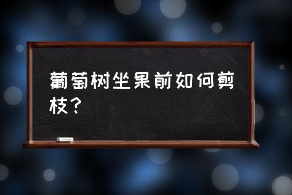 葡萄结果以后怎么修剪 葡萄树坐果前如何剪枝？