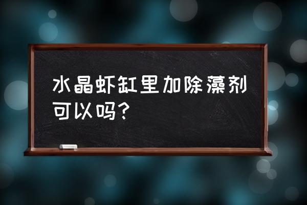 水族虾缸黑色的藻类怎么处理 水晶虾缸里加除藻剂可以吗？