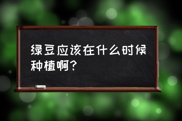 绿豆种植怎么得高产 绿豆应该在什么时候种植啊？