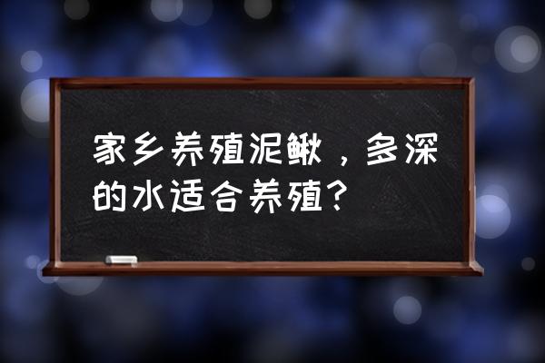 怎样网箱养泥鳅 家乡养殖泥鳅，多深的水适合养殖？