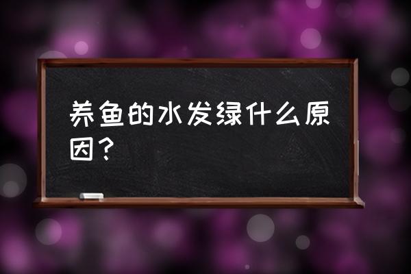 池塘水发绿原因和解决方案 养鱼的水发绿什么原因？