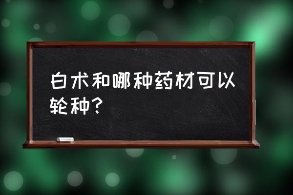 白术秧子没出苗得了白绢病怎么办 白术和哪种药材可以轮种？