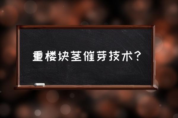 重楼种子多少钱一斤 重楼块茎催芽技术？