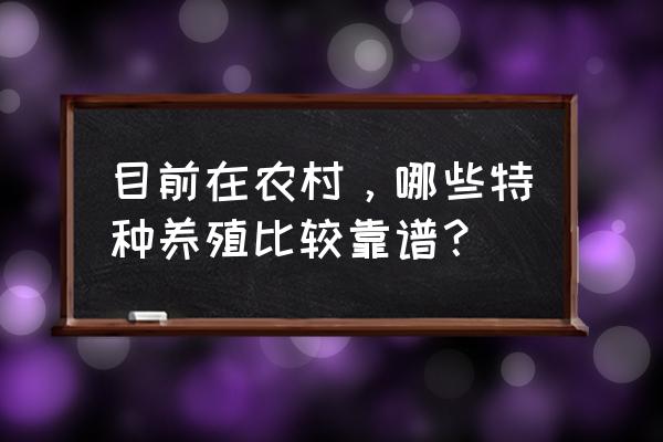 獭兔养殖技术及销路 目前在农村，哪些特种养殖比较靠谱？