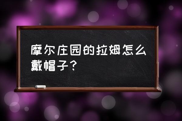 摩尔庄园拉姆怎么设置跟随状态 摩尔庄园的拉姆怎么戴帽子？