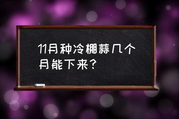 大蒜1-8天的生长变化记录及时间 11月种冷棚蒜几个月能下来？