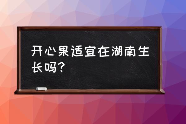 58同城开心果园入口在哪里 开心果适宜在湖南生长吗？