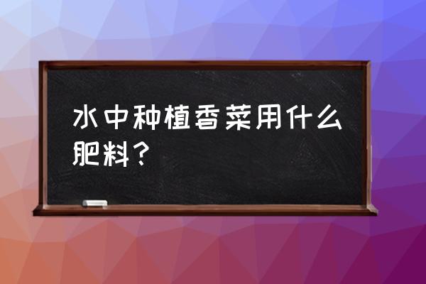 买的香菜能水培吗 水中种植香菜用什么肥料？