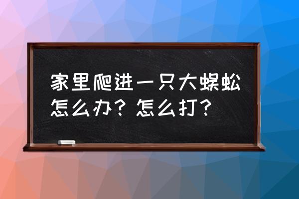 蜈蚣室外养殖场怎么建 家里爬进一只大蜈蚣怎么办？怎么打？