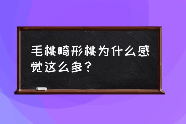 毛蟠桃中蟠7号新品种介绍 毛桃畸形桃为什么感觉这么多？