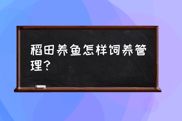 流水养鱼怎么肥水 稻田养鱼怎样饲养管理？