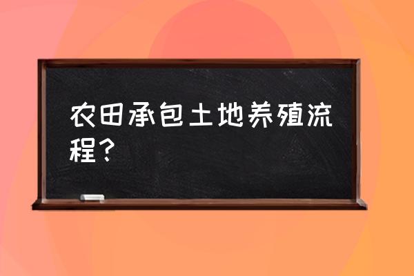 农田怎样养鹅 农田承包土地养殖流程？