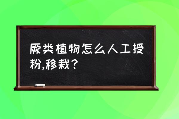 土白蔹有什么用 厥类植物怎么人工授粉,移栽？