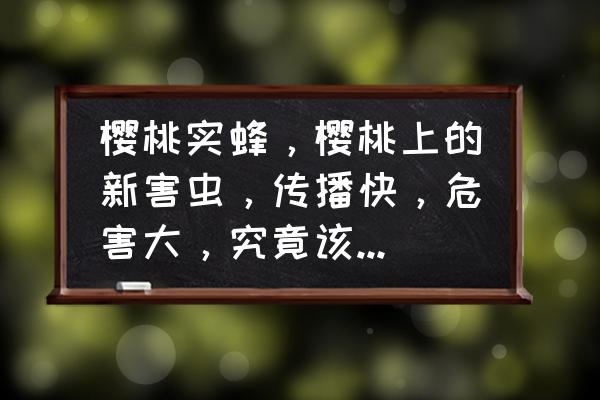 樱桃树树干里有虫子怎么治虫害 樱桃实蜂，樱桃上的新害虫，传播快，危害大，究竟该如何防治呢？