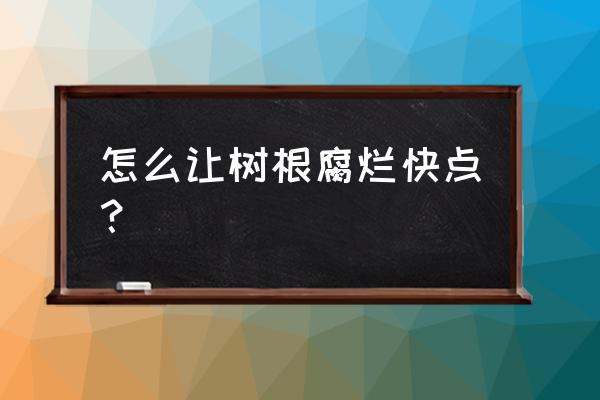 大树灌根的正确方法 怎么让树根腐烂快点？