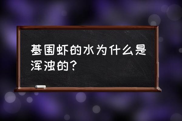 教你怎么判断虾得了哪种病 基围虾的水为什么是浑浊的？