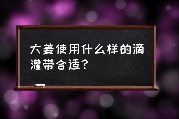 pe滤镜中的增效工具怎样找到 大姜使用什么样的滴灌带合适？