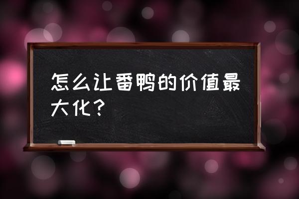 鸭蛋上有鸭粪怎么处理 怎么让番鸭的价值最大化？