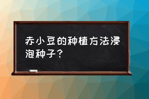 赤小豆什么时间种植最好 赤小豆的种植方法浸泡种子？