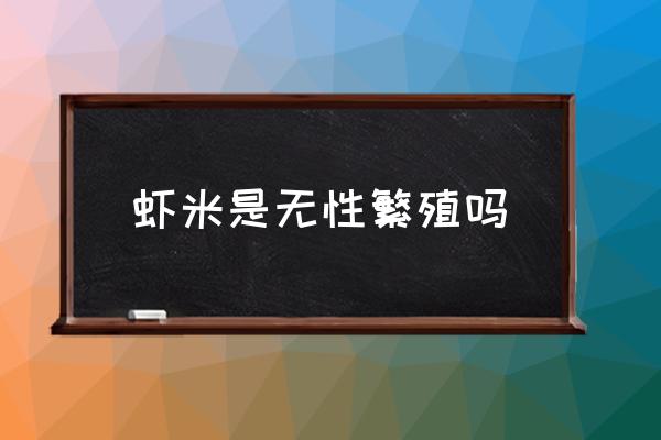 澳洲淡水虾的必备条件 虾米是无性繁殖吗