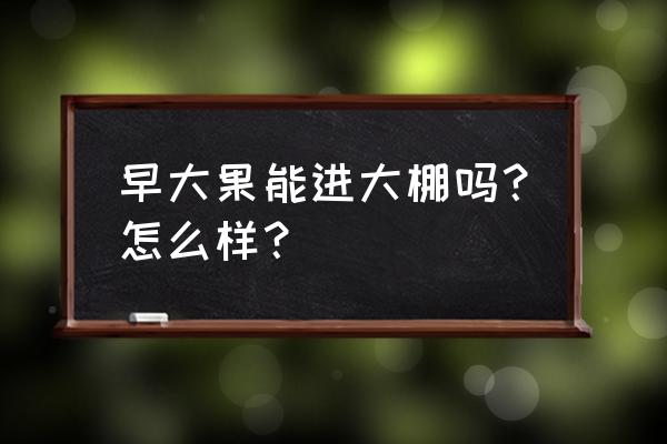 温室大棚里植物生长更快吗 早大果能进大棚吗？怎么样？