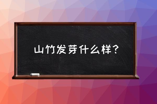 山竹是怎么生长的全过程 山竹发芽什么样？