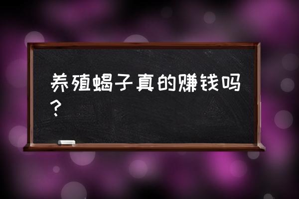 全国养蝎子现状 养殖蝎子真的赚钱吗？