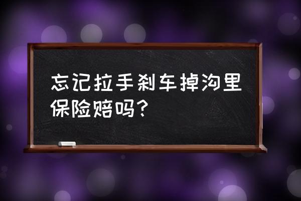 车子掉河里保险公司怎么赔的 忘记拉手刹车掉沟里保险赔吗？