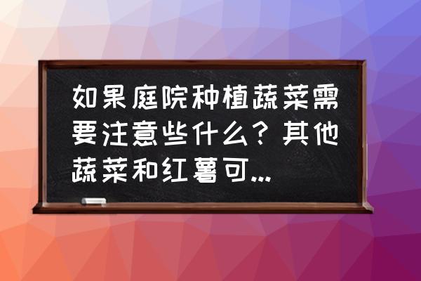 四大素菜不能吃 如果庭院种植蔬菜需要注意些什么？其他蔬菜和红薯可以同时种植吗？