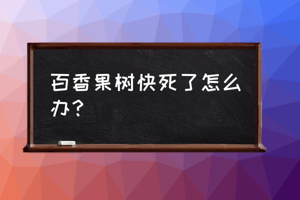 百香果的作用和禁忌有哪些 百香果树快死了怎么办？