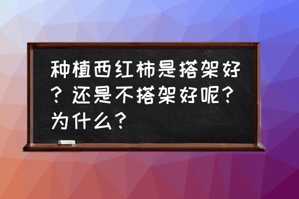 种菜搭架子的既省钱好看方法 种植西红柿是搭架好？还是不搭架好呢？为什么？