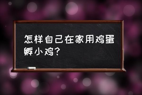 我的世界怎么孵小鸡 怎样自己在家用鸡蛋孵小鸡？