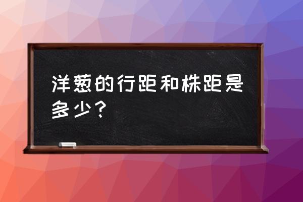 行距如何设置为十七磅 洋葱的行距和株距是多少？