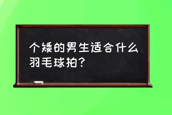 羽毛球裁判证要不要身高 个矮的男生适合什么羽毛球拍？