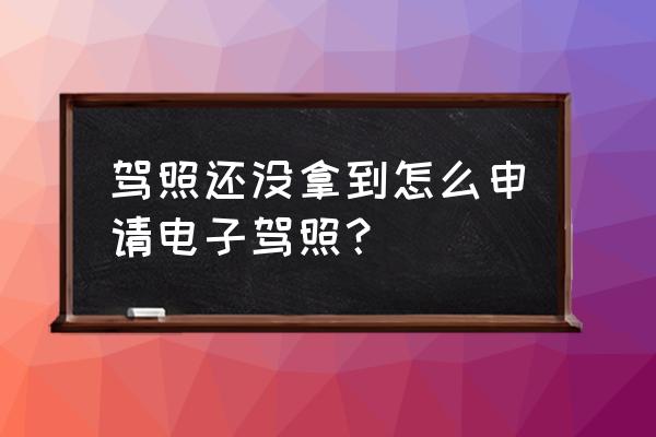 上海市电子驾驶证申请条件 驾照还没拿到怎么申请电子驾照？