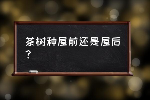 春分了院子里种点什么呢 茶树种屋前还是屋后？