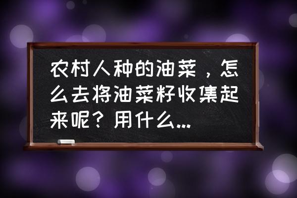 地菜皮怎样做好呢 农村人种的油菜，怎么去将油菜籽收集起来呢？用什么方法最好？