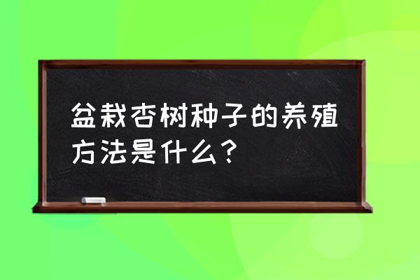 开心果的繁殖方法和技术 盆栽杏树种子的养殖方法是什么？