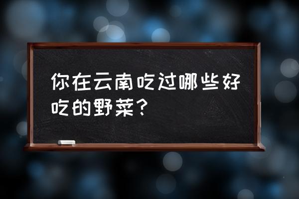 洋荷清炒怎么炒的好吃 你在云南吃过哪些好吃的野菜？