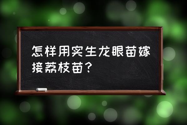 龙眼树嫁接最好的方法 怎样用实生龙眼苗嫁接荔枝苗？