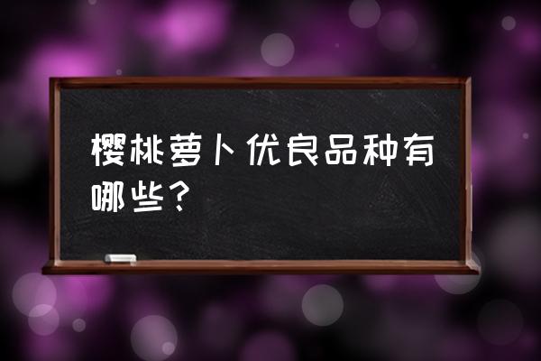 阳台种植什么萝卜最好 樱桃萝卜优良品种有哪些？