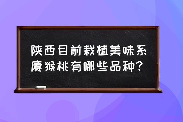 陕西各种新品种果树苗价格 陕西目前栽植美味系猕猴桃有哪些品种？