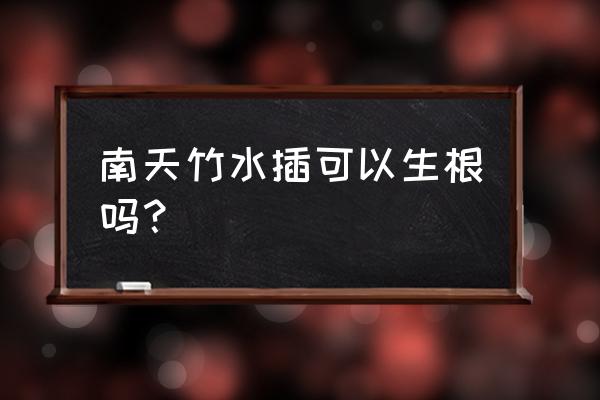 南天竹播种繁殖技术有哪些 南天竹水插可以生根吗？